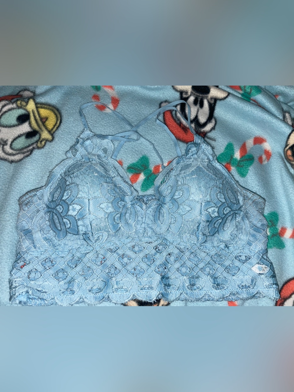 Womens xl Anemone Light Blue Lace Bralette